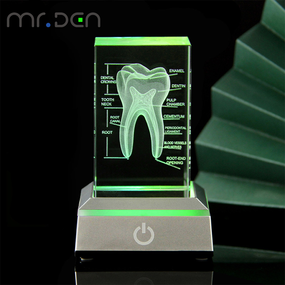ทันตกรรม 3D เลเซอร์แกะสลักโครง - Paper Weight Crystal บทวิจารณ์และราคา