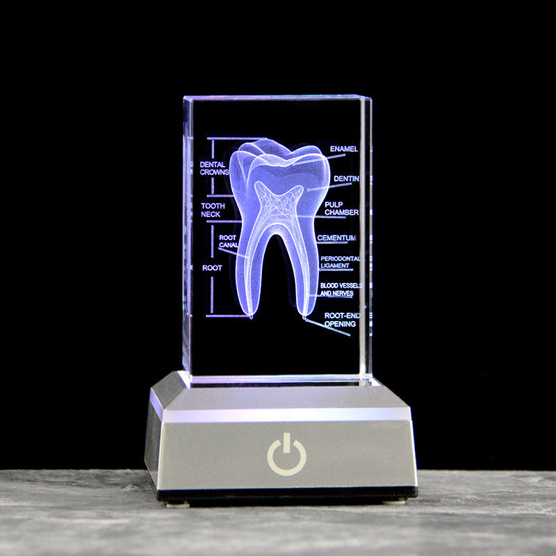 ทันตกรรม 3D เลเซอร์แกะสลักโครง - Paper Weight Crystal บทวิจารณ์และราคา